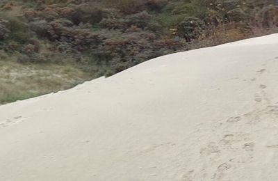 Mer du Nord, Westhoek panorama, Bray Dunes, 11 novembre 2013