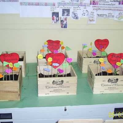 Notre projet: les jardinières