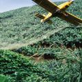 Cameroun:Les effets néfastes de l'utilisation abusive des pesticides dans la zone agricole du MOUNGO (Rapport)