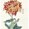 Keika Hasegawa 契華‏ 長谷川 (active 1892 - 1905) . One Hundred Chrysanthemums by Keika, 1893