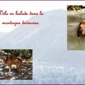 Vélo (Fairywen)