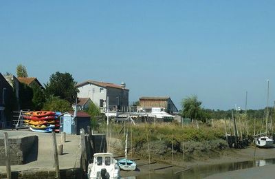 Mornac-sur-Seudre - marais salants