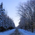 Balade dans un décor de conte d'hiver