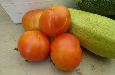 24 MAI - les premières tomates et ça va continuer