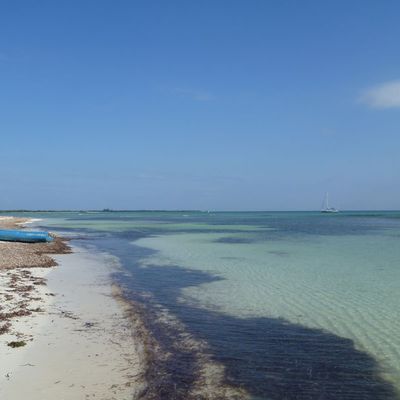 Longue cotiere vers la Havane