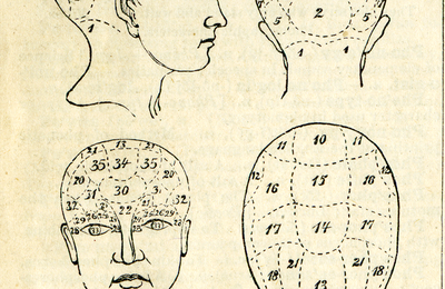 L'histoire de la mesure de l'intelligence ...