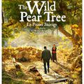 " The wild pear tree "  Galeries