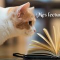 Retour sur mes lectures de novembre