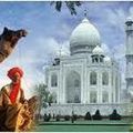 Savoir sur les attractions de Tours Triangle d'or en Inde