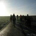 Promenade à cheval dans l'Aisne