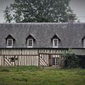 Jour 14 - de Moyaux à Louviers -70 km