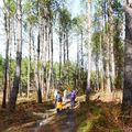 9 mars : St Michel de Rieufret - 18 km