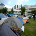 Occupy Auckland