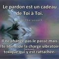 💜💜💜 LE PARDON 💜💜💜...