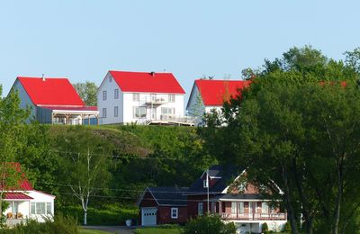 Un voyage extraordinaire !