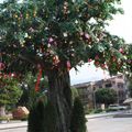 L 'ARBRE A VOEUX - LAM TSUEN SPIRIT TREES