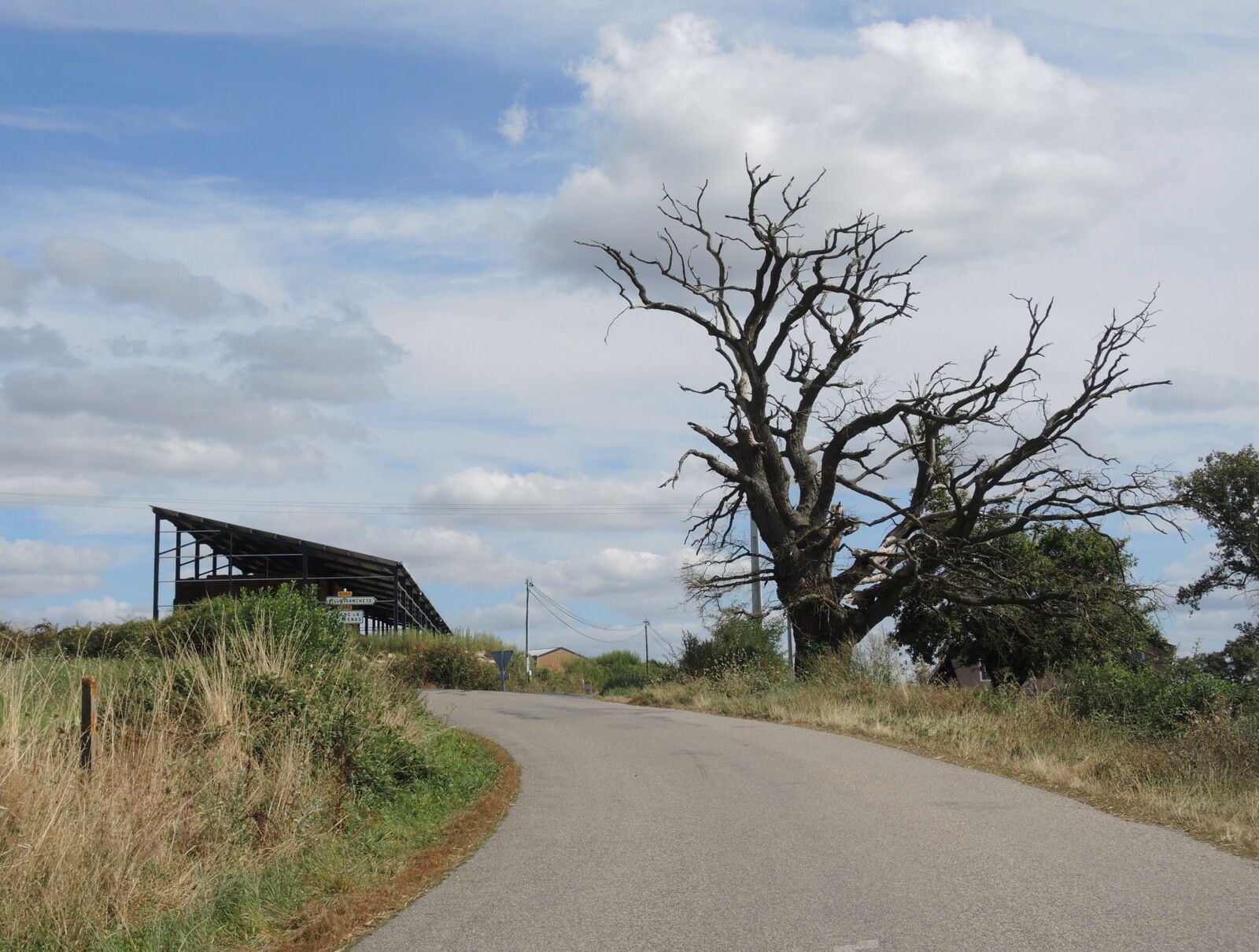 Venas, sur la route (03)