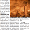 Lutte contre la dévastation des forêts