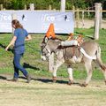 JOURNEES NATIONALES DE L'ANE DE PROVENCE A UZES