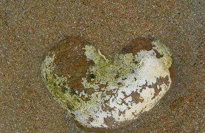 land art... des signes en direct de l'ile d'yeu