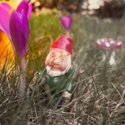 Petit rappel & une jolie BD