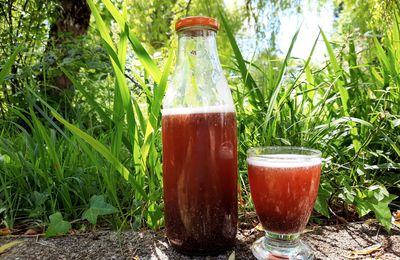 Eau détox Rhubarbe-fraise et sa petite compote