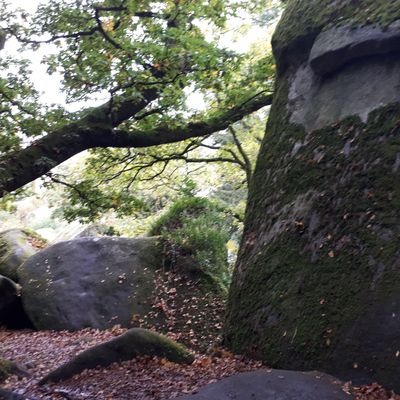 Notre parenthèse bretonne