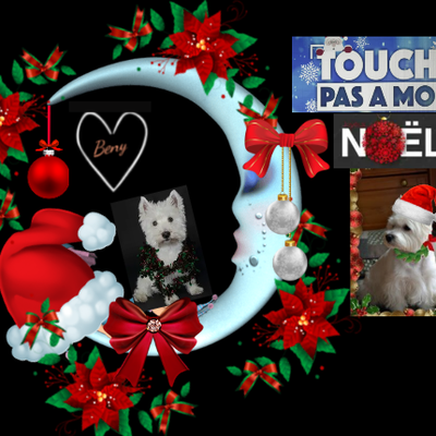 Dites moi pourquoi ??? 