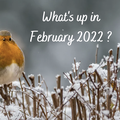 What's up in February 2022 ? 