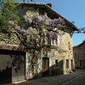 Les glycines de Pérouges