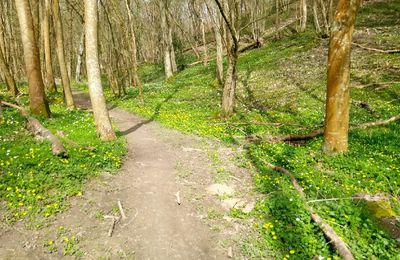 De la nature, de la marche, de l'humour, merci à vous et bonne lecture