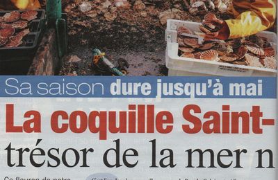 Périco LEGASSE: ODE A LA COQUILLE SAINT-JACQUES NORMANDE