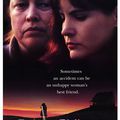 Dolores Claiborne de Taylor Hackford (USA/1995)