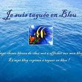 La vie en bleue.... un petit Tag