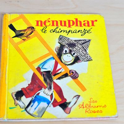 Nénuphar le Chimpanzé