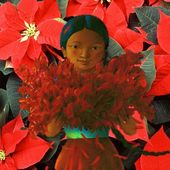 La légende du poinsettia