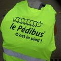 Pédibus bientôt à Bonsecours..