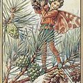 Un dimance avec Cicely Mary Barker 