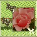 Une carte rose et papillons