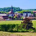 FENTES DE SUINTEMENT, DÉCOMPACTAGE ET RÉGÉNÉRATION, LA PELOUSE DE LÉO LAGRANGE CHOYÉE.