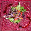 Salade Verte aux Germes de Radis, Carotte et Poivron Rouge