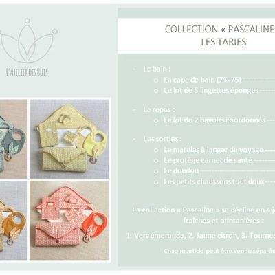 Collection Pascaline