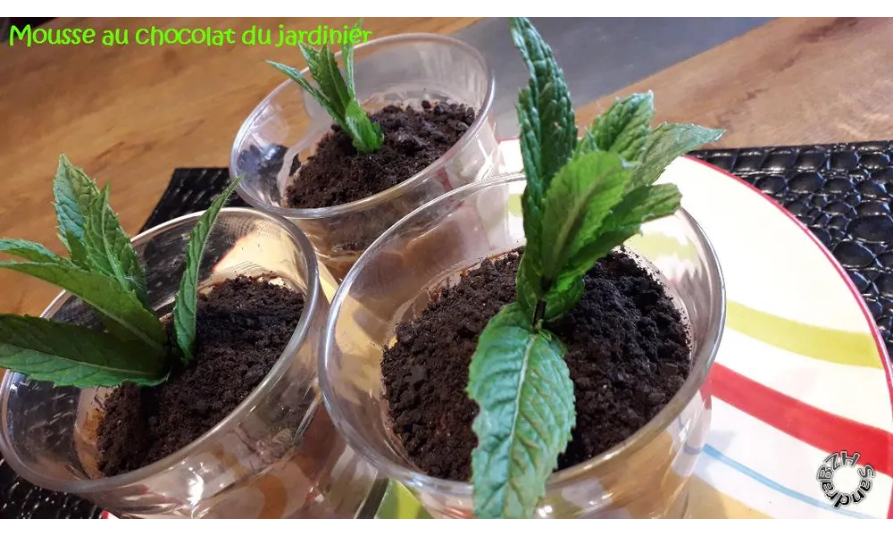 Mousse au chocolat... du jardinier !