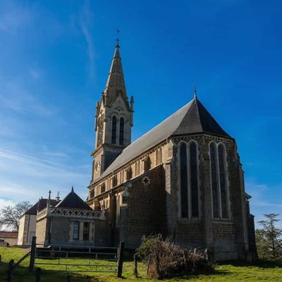 Collections de ... 125