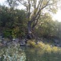 Commune : Castellane Cours d’eau : Le Verdon (Domaine du Verdon)