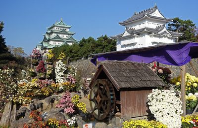 Erebos Momiji Tour 43 - Au château de Nagoya