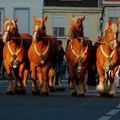 Samedi 12 Septembre - Défilé parade des chevaux