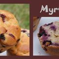 Muffins moelleux aux myrtilles