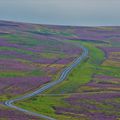 Twinlaw Cairns, Borders