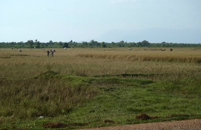 Kampot ou la découverte du Cambodge un peu plus en profondeur